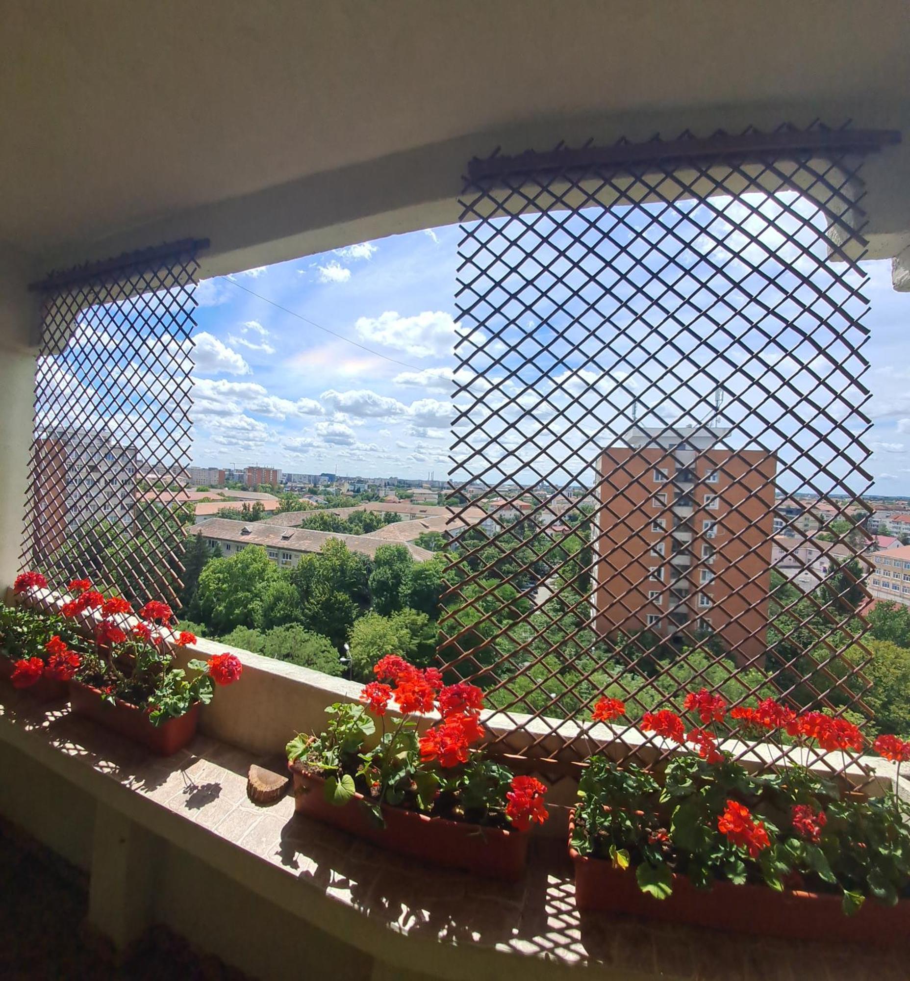 Apartament Happy Station Timișoara Pokój zdjęcie